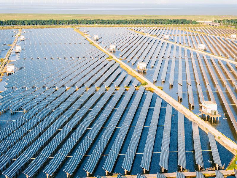 Từ năm 2024, các dự án điện mặt trời mới tại Trung Quốc phải bán điện theo giá thị trường thay vì được hưởng cơ chế giá ưu đãi như trước. Ảnh: Reuters.