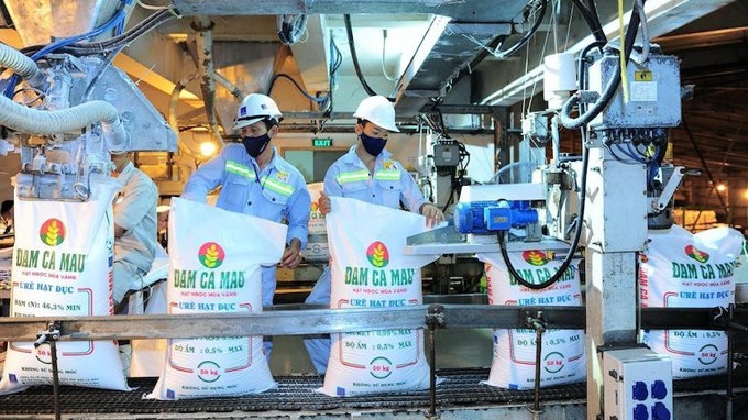Đạm Cà Mau (DCM) sắp chi nghìn tỷ trả cổ tức
