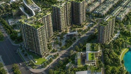 Flamingo “tiến về Hà Nội”…
