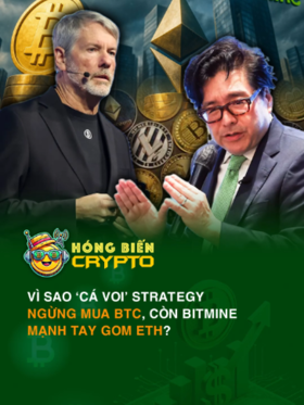 Vì sao ‘cá voi’ Strategy ngừng mua BTC, còn BitMine mạnh tay gom ETH?