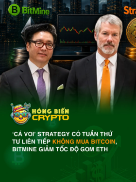 ‘Cá voi’ Strategy có tuần thứ tư liên tiếp không mua Bitcoin, Bitmine giảm tốc độ gom ETH