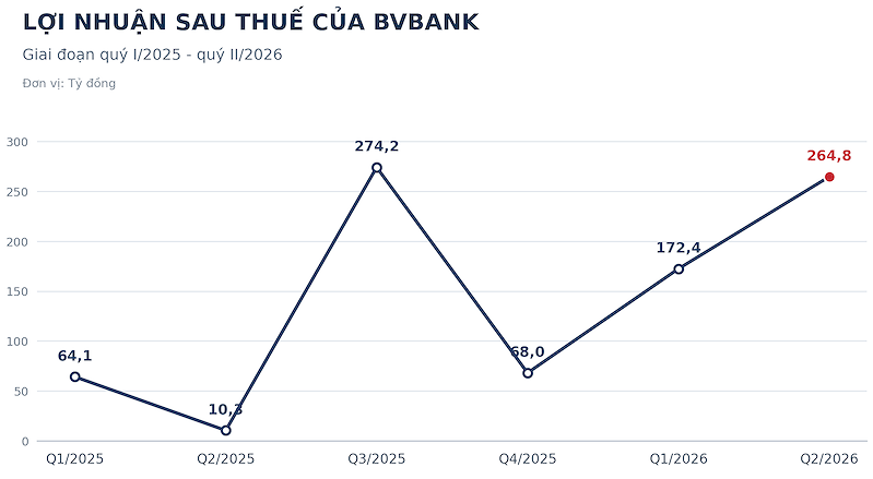 bvbankloinhuansauthueq12025q
