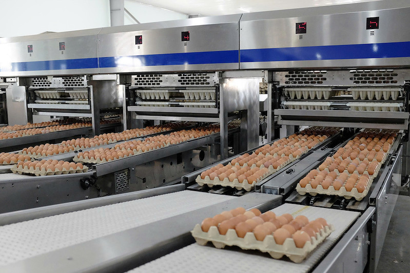 Sản lượng trứng trong quý 2 đạt 86 triệu quả