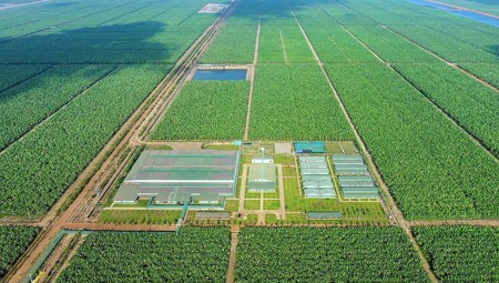 Thaco Agri của tỷ phú Trần Bá Dương báo lãi 60 tỷ đồng năm 2025, tổng tài sản vượt 85.000 tỷ đồng
