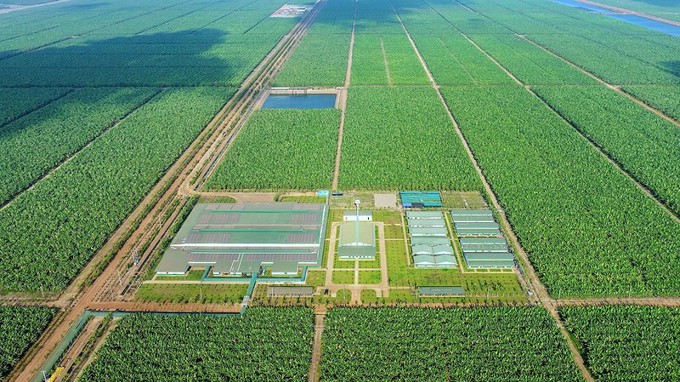 Thaco Agri của tỷ phú Trần Bá Dương báo lãi 60 tỷ đồng năm 2025, tổng tài sản vượt 85.000 tỷ đồng