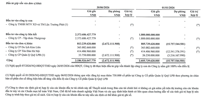 (Nguồn: Thuyết minh BCTC Thaiholdings)