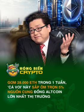 Gom 28.000 ETH trong 1 tuần, ‘cá voi’ này sắp ôm trọn 5% nguồn cung đồng altcoin lớn nhất thị trường